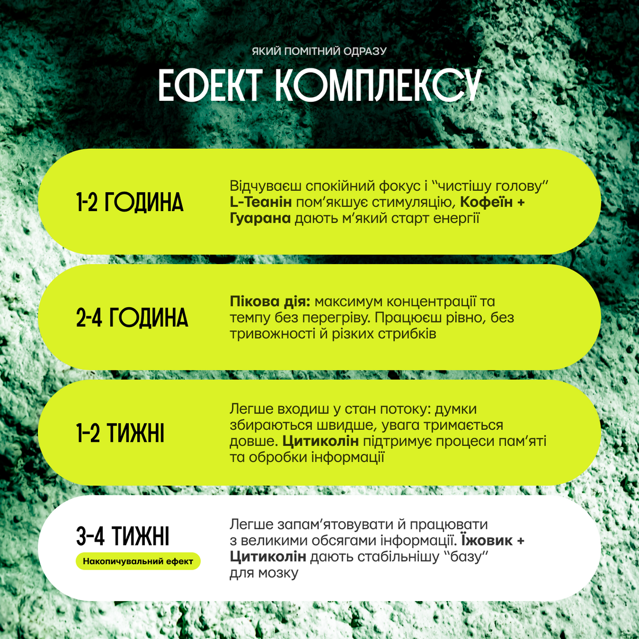 NS44 / FOCUS & MEMORY Нooтропний комплекс для бусту концентрації, памʼяті та ясності мислення