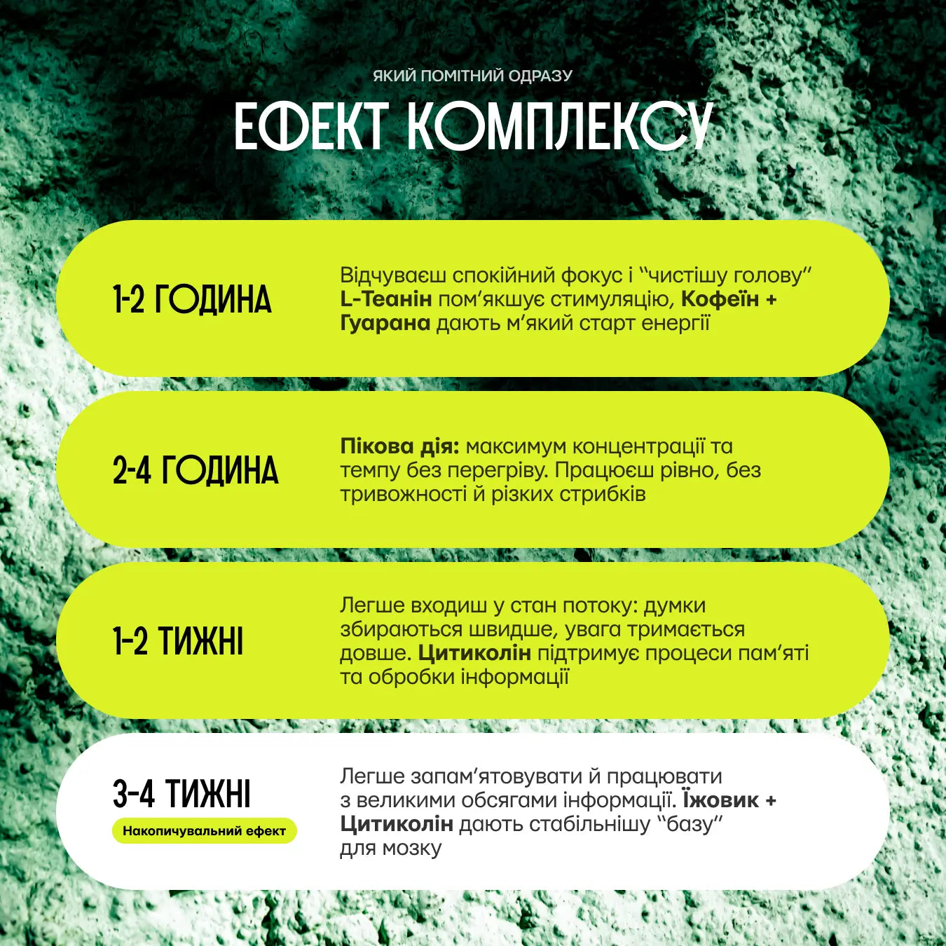 Інфографіка NS44 Focus Memory з етапами ефекту: 1–2 год, 2–4 год, 1–2 тижні, 3–4 тижні
