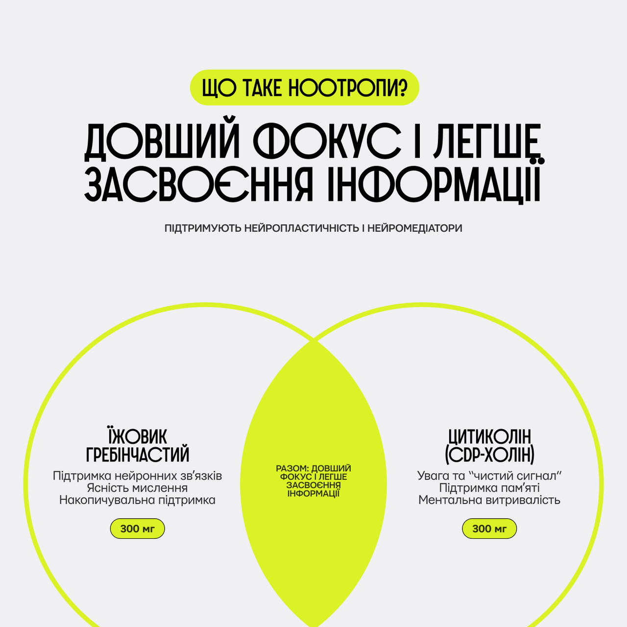 NS44 / FOCUS & MEMORY Нooтропний комплекс для бусту концентрації, памʼяті та ясності мислення