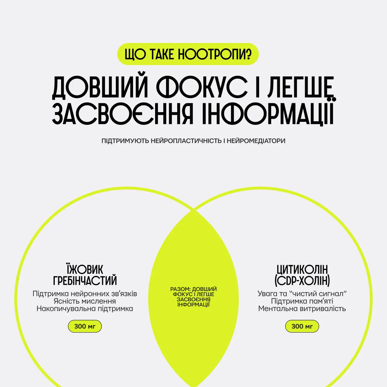 Схема NS44 Focus Memory: їжовик гребінчастий і цитиколін (CDP-холін) для довшого фокусу та засвоєння інформації