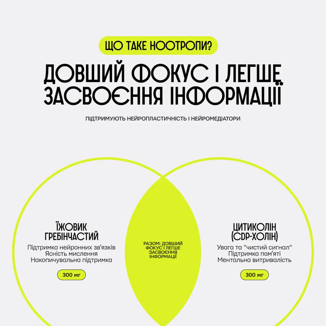 Схема NS44 Focus Memory: їжовик гребінчастий і цитиколін (CDP-холін) для довшого фокусу та засвоєння інформації